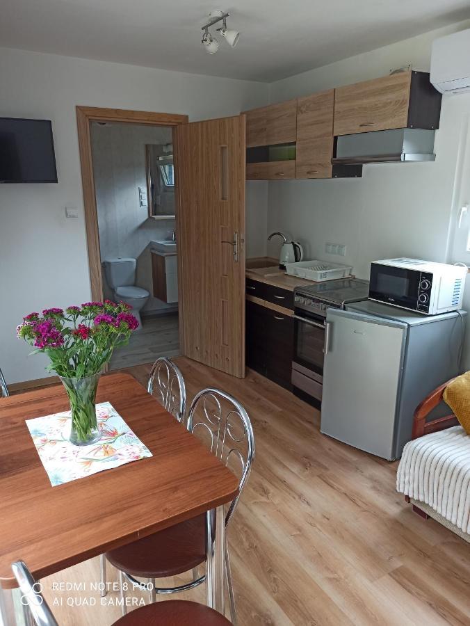 Pod Sosnami Villa Miedzychod